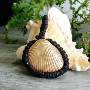 Macrame Shell Pendant, Seashell Jewelry, Gold Shell Pendant 1.75"